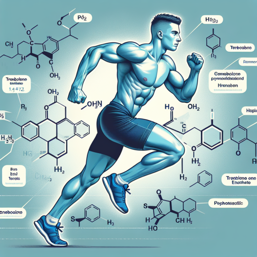 Trenbolone enanthate and its influence on athletes' metabolism