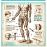 Injection sites for methandienone injection: best practices